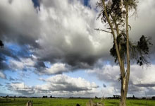 爱游戏入口刚刚！曼城今晚完成体检风云突变丹佛掘金转会期官宣签约，华盛顿奇才加时末段外线爆发的简单介绍